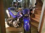 tama_091006.jpg