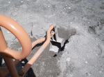 tama_100406_1.jpg